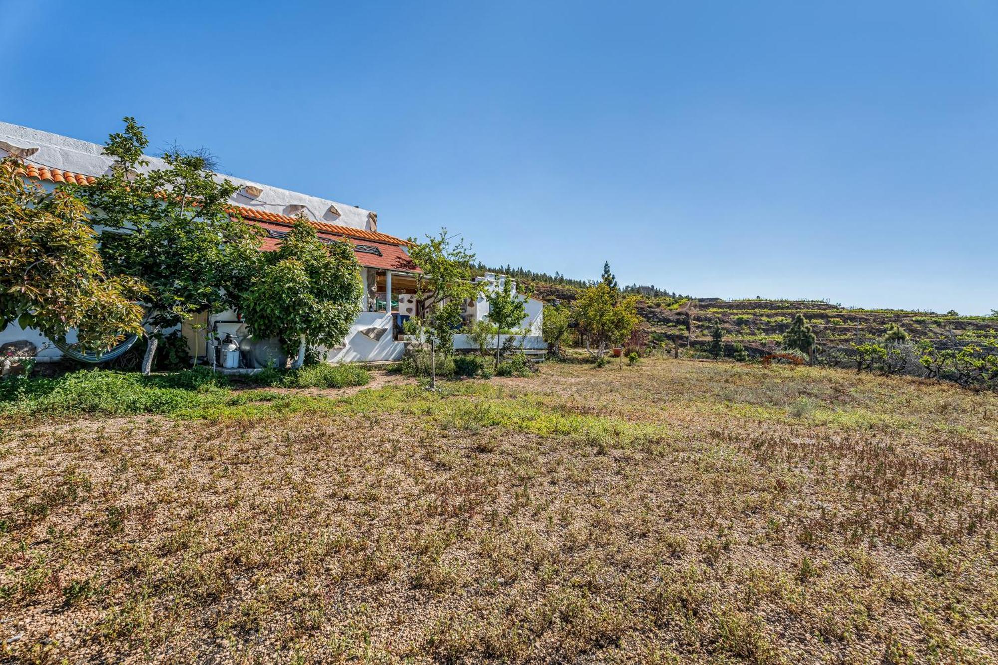 Land Of Dreams Vilaflor Exterior foto
